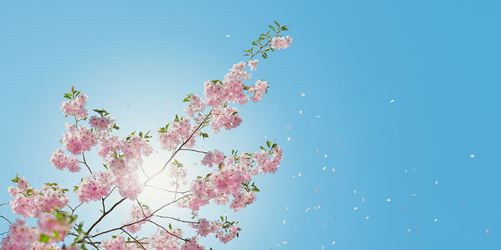 Night time hayfever: 3 ways to allergy-proof your bedroom