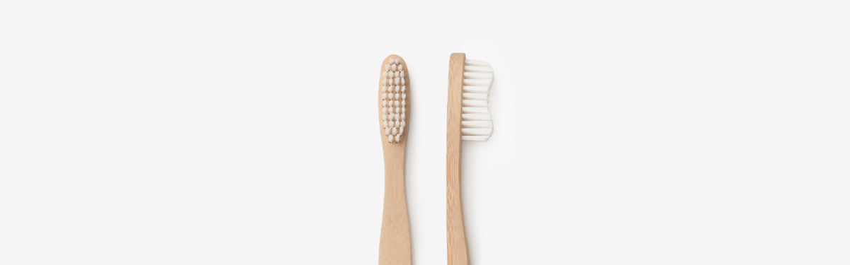 Brush with Bamboo