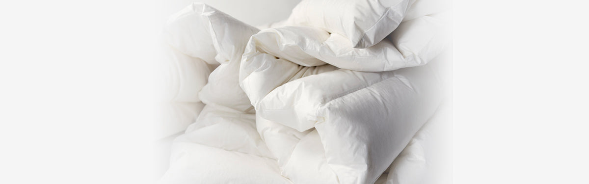 Norvegr Duvets and Pillows