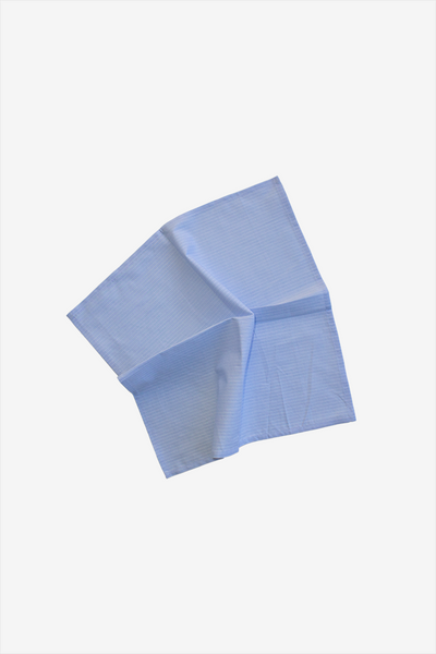 Large Blue Cotton Stripe Napkins - Set of 4
